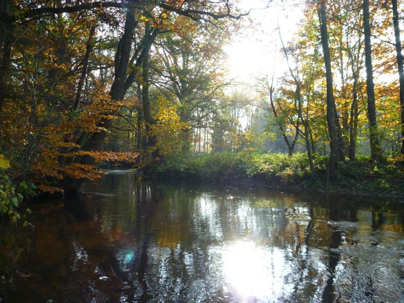 Herbst